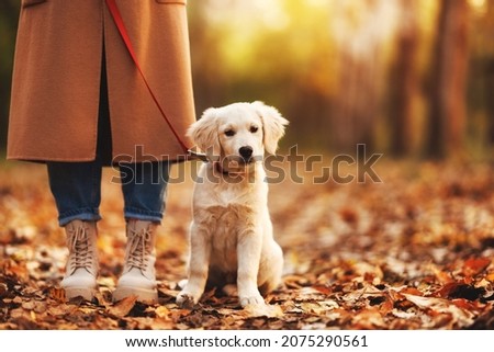 Similar – Image, Stock Photo Best female friends near lake during holiday