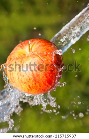 Fresh apple with water splashing, over nature background
