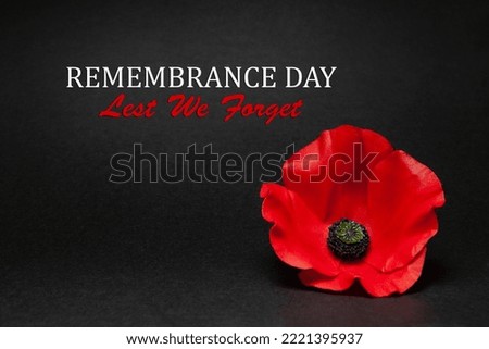 Poppy pin for Remembrance Day. Poppy flower on black background. Remembrance Day Lest We Forget. Foto stock © 