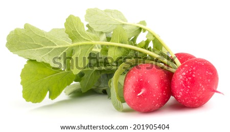 Fresh garden radish isolated on white background cutout