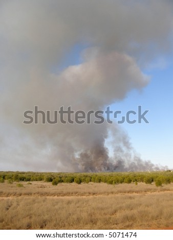 broome, western australia, fire in the bush