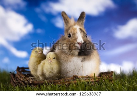 Easter, bunny and chick on green grass