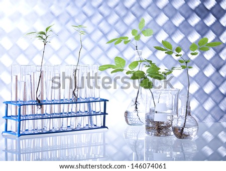 Plants laboratory experimental