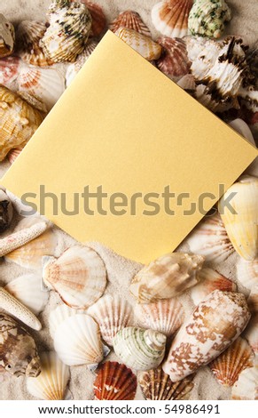 Sand and shell frame