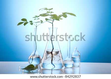 Chemistry equipment, plants laboratory glassware