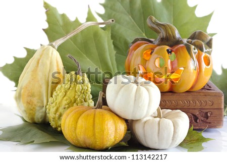 decorative pumpkins with funny halloween pumpkin
