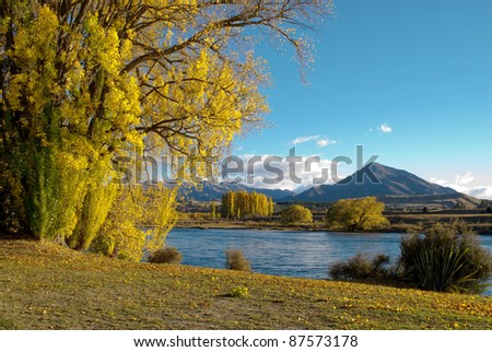 morning light on autumnal trees by river