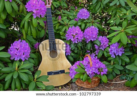 guitar in rhododendron garden with floral basket