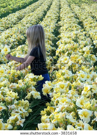 girl picking a day lily