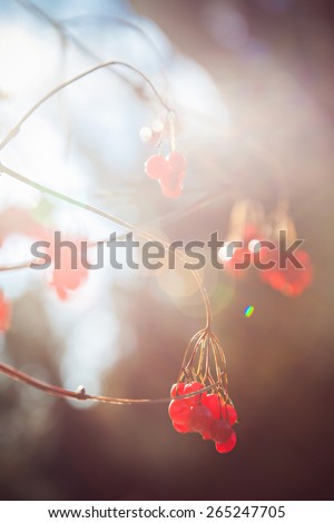 Autumn landscape on blurred background