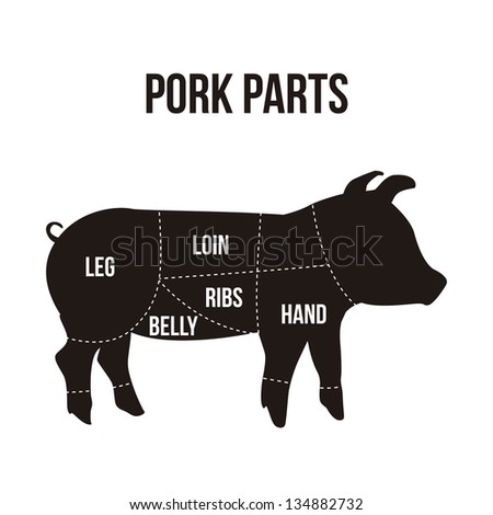 pork cuts over white background. vector illustration