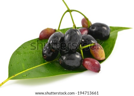 Jambolan Plum or Java Plum fruit isolated on white background