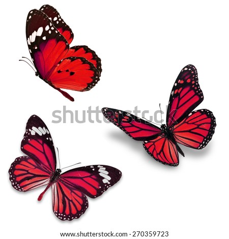 Three red butterfly, isolated on white background