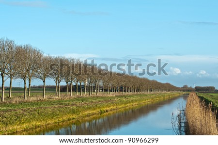 Trees reflecting in water of a canal, Netherlands