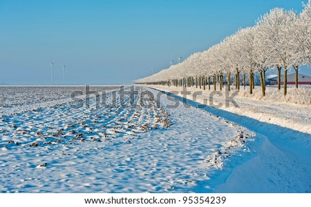 Agriculture in perspective in winter