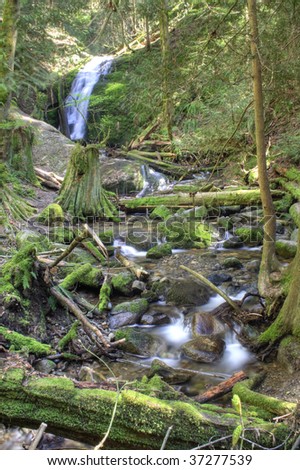 Coal Creek Falls, a Pacific Northwest waterfall in spring