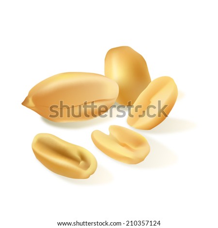  Peanuts on A White Background