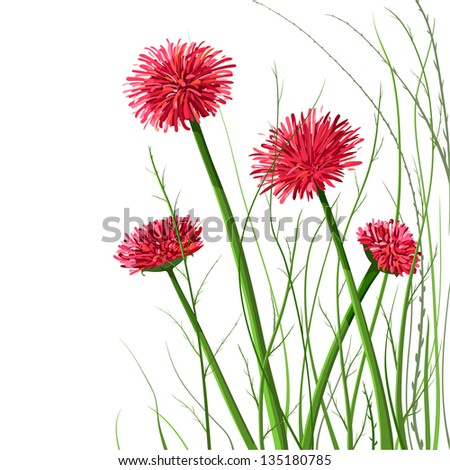 Beautiful Wild Flowers Illustration. Vector decorative flowers and grass illustration. EPS8. No effects.