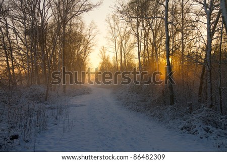 Sunset breaks through the trees on a snow covered path