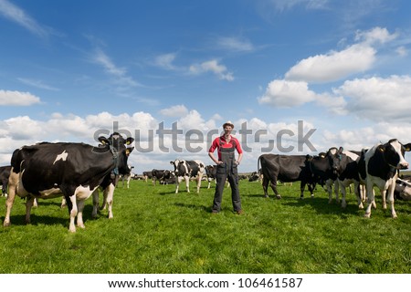 young farmer proud in field with livestock cows