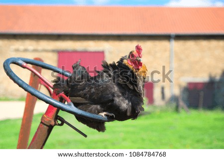 Similar – Image, Stock Photo Tractor steering wheel