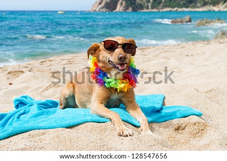 Relaxing dog at the beach with flowers garland