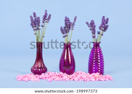 Row with little vases lavender on blue background