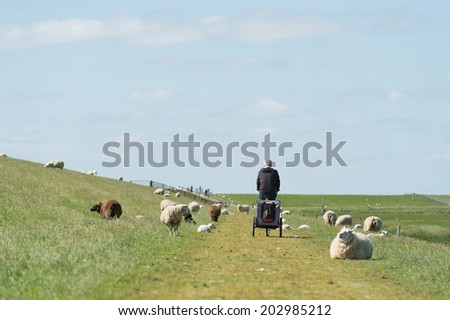 Similar – Image, Stock Photo Wadden car ride to Neuwerk