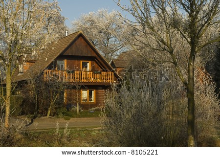 Wooden house like austrian chalet in nature
