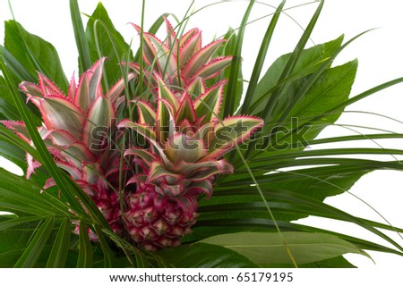 pineapple fruit in bouquet with green leaves