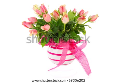 Bouquet pink roses in striped vase isolated over white