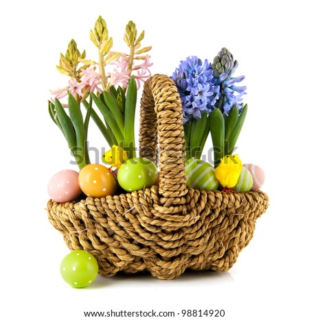 Easter basket with eggs flower bulbs and chicks
