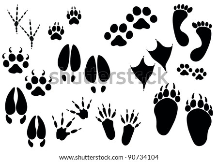 Download Rabbit footprint | 6 Free vector graphic images | Free-Vectors