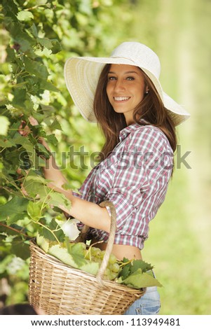 Young peasant woman in the vineyard