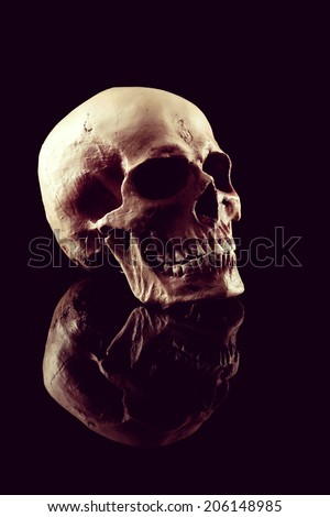 A Natural human skull on black background.