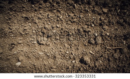 Fertile humus soil in the farmland field, texture close up