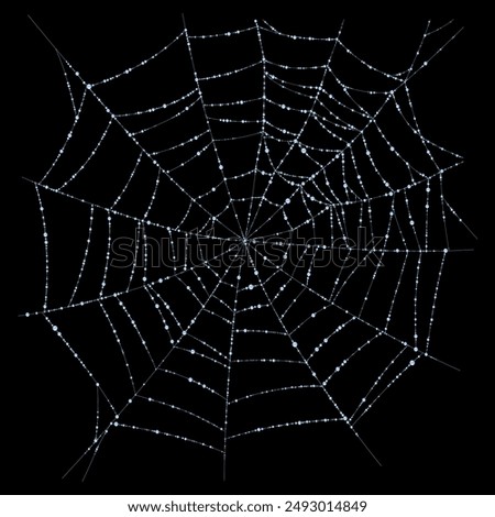 Light blue spider web with dew droplets isolated on black. Vector illustration in 3d style