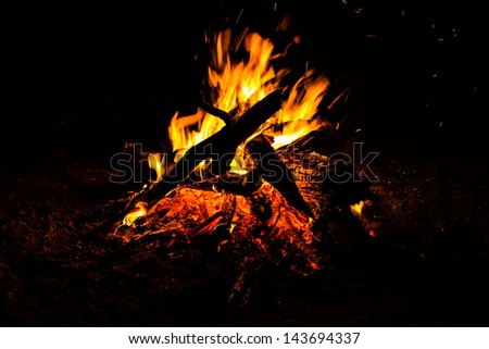 bright fire on the wood a dark night