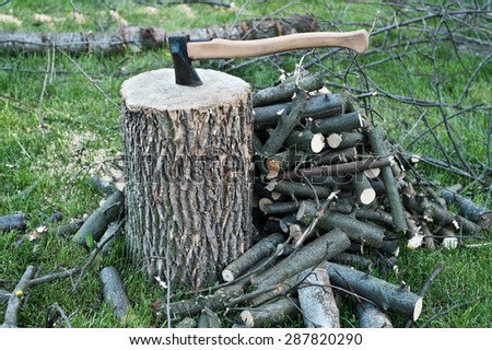 Axe in a stump, some cut wood and twigs around, waiting to be cut.