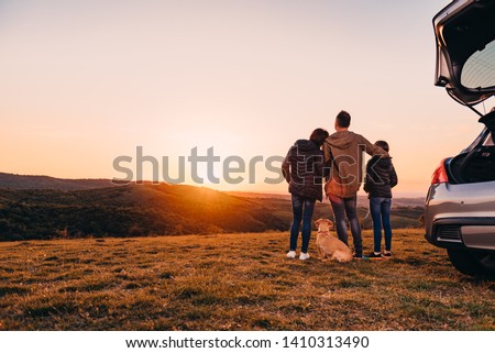 Foto Bild Hund beobachtet Sonnenuntergang auf dem Land