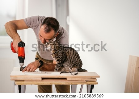 Similar – Image, Stock Photo House cat in his basket