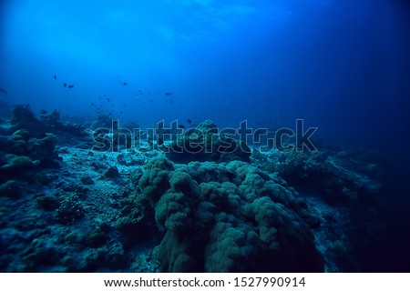Similar – Image, Stock Photo underwater Environment