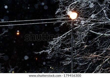 street lamp, night, snow, park