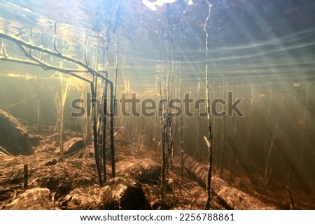 Similar – Foto Bild Kein Wasser unter dem Kiel. Modernes Segelboot, Jacht gestrandet am Strand neben einem Felsenpier. Ostküste, Massachusetts