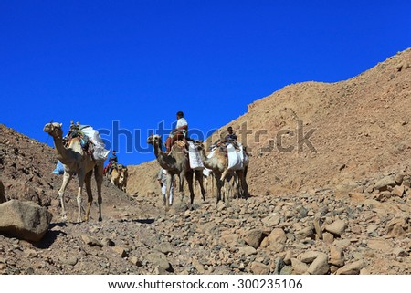 Sharm El Sheikh, EGYPT Ã¢?? JUNE 15: escalators caravan of camels in the mountains of Sinai Blue Hall on JUNE 15, 2015, in Sharm El Sheikh, Egypt