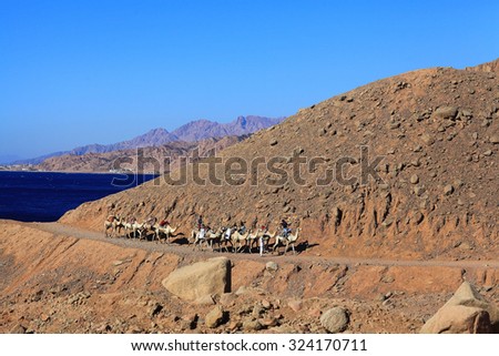 Sharm El Sheikh, EGYPT JUNE 15: escalators caravan of camels in the mountains of Sinai Blue Hall on JUNE 15, 2015, in Sharm El Sheikh, Egypt