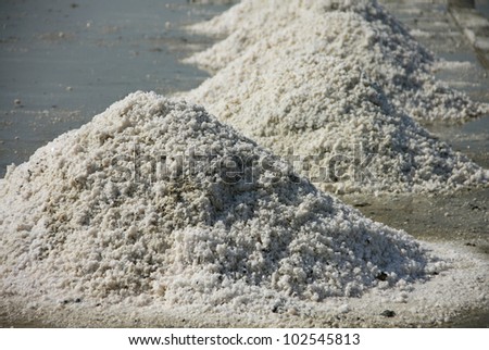 pile of salt in the salt pan,product of Thailand