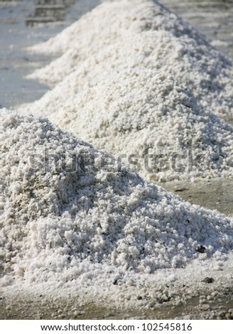 pile of salt in the salt pan,product of Thailand