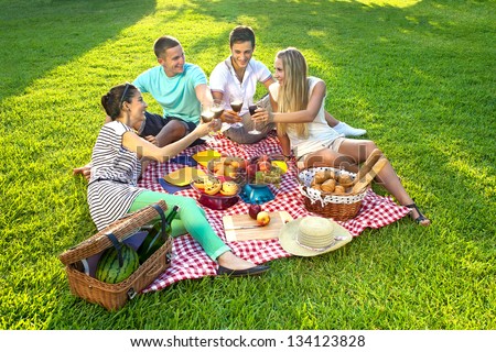 Group of young attractive friends having a picnic, sitting on a red checked cloth on green grass and toasting each other with glasses of wine
