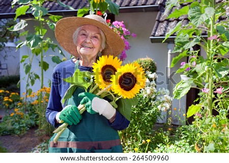 Happy Senior Woman with Hat, Apron and Gloves for Gardening Holding a Bouquet of Fresh Sunflowers at the House Garden.
